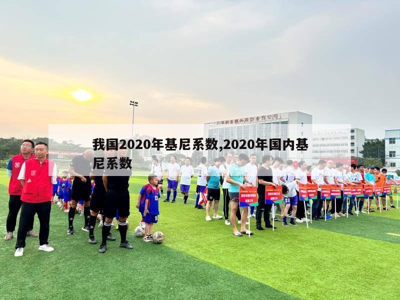 我国2020年基尼系数,2020年国内基尼系数