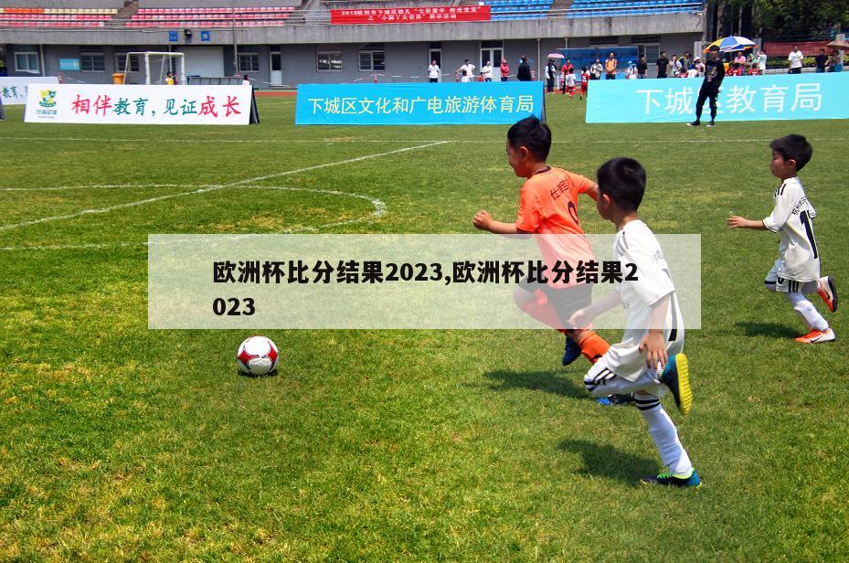 欧洲杯比分结果2023,欧洲杯比分结果2023