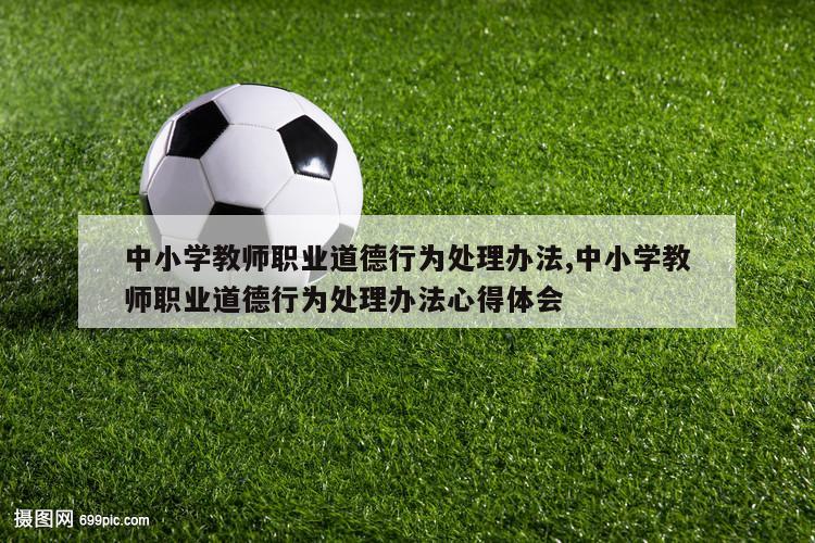 中小学教师职业道德行为处理办法,中小学教师职业道德行为处理办法心得体会