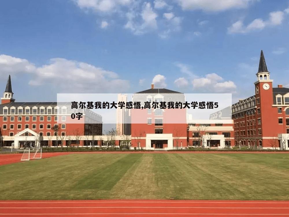 高尔基我的大学感悟,高尔基我的大学感悟50字