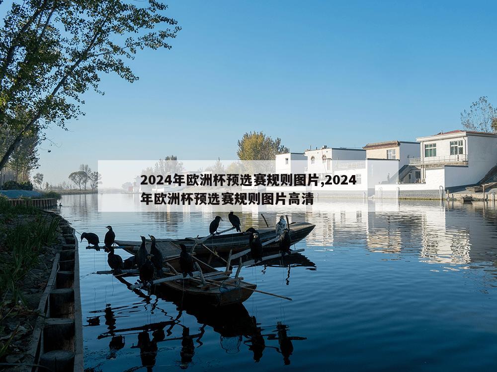 2024年欧洲杯预选赛规则图片,2024年欧洲杯预选赛规则图片高清