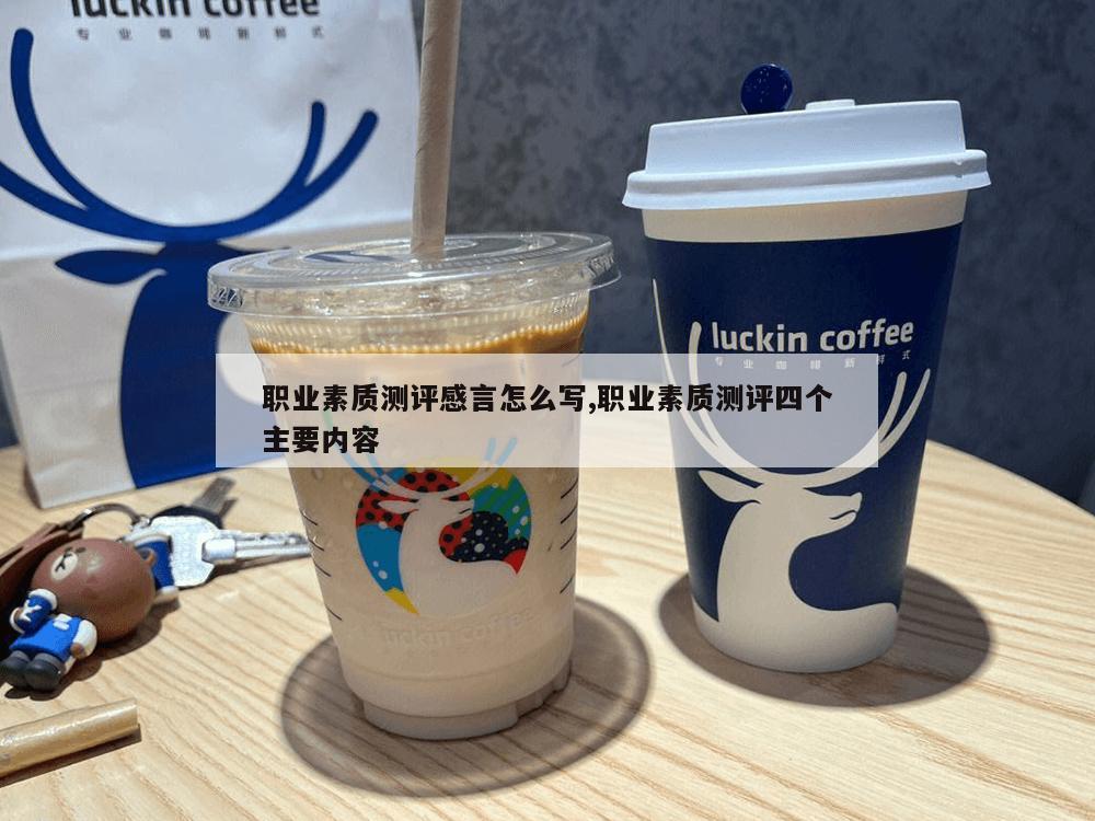 职业素质测评感言怎么写,职业素质测评四个主要内容