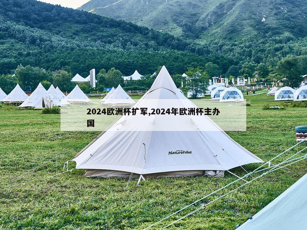 2024欧洲杯扩军,2024年欧洲杯主办国