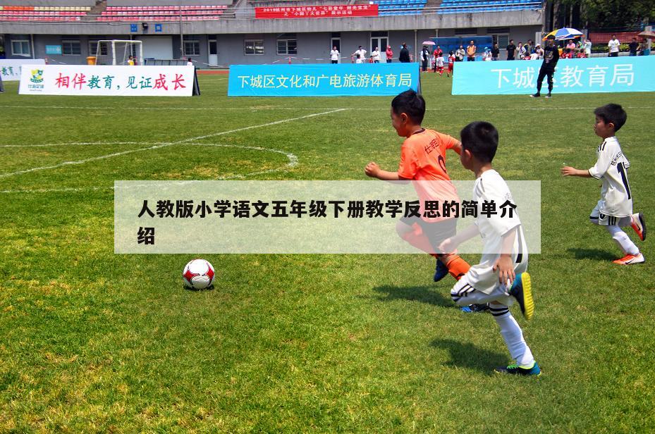 人教版小学语文五年级下册教学反思的简单介绍