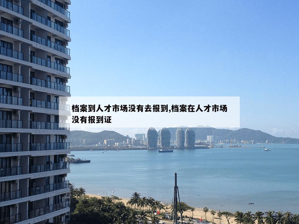 档案到人才市场没有去报到,档案在人才市场没有报到证