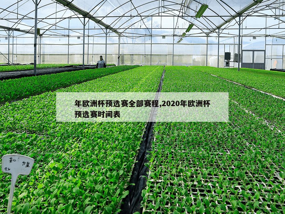 年欧洲杯预选赛全部赛程,2020年欧洲杯预选赛时间表