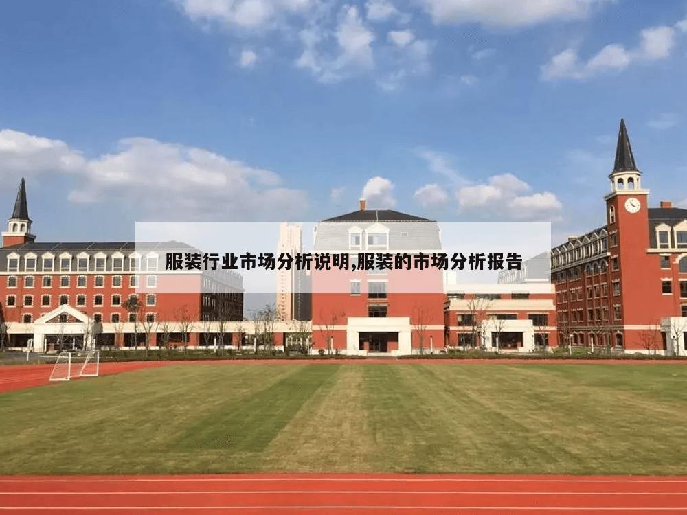 服装行业市场分析说明,服装的市场分析报告