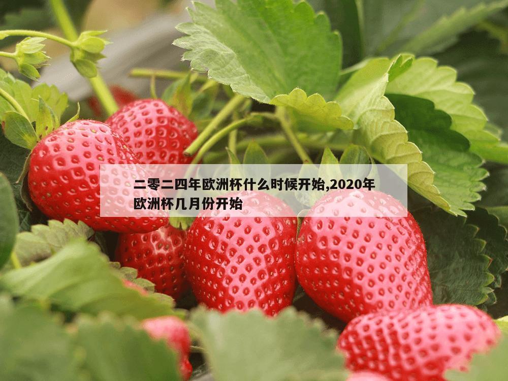 二零二四年欧洲杯什么时候开始,2020年欧洲杯几月份开始