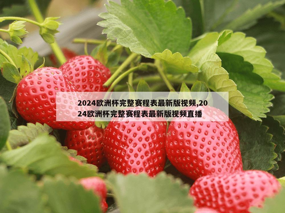 2024欧洲杯完整赛程表最新版视频,2024欧洲杯完整赛程表最新版视频直播